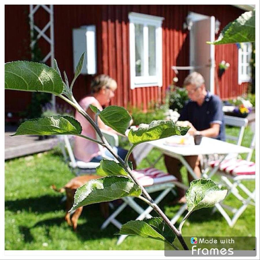Lavendeltorpet Bed and Breakfast Haggum Buitenkant foto