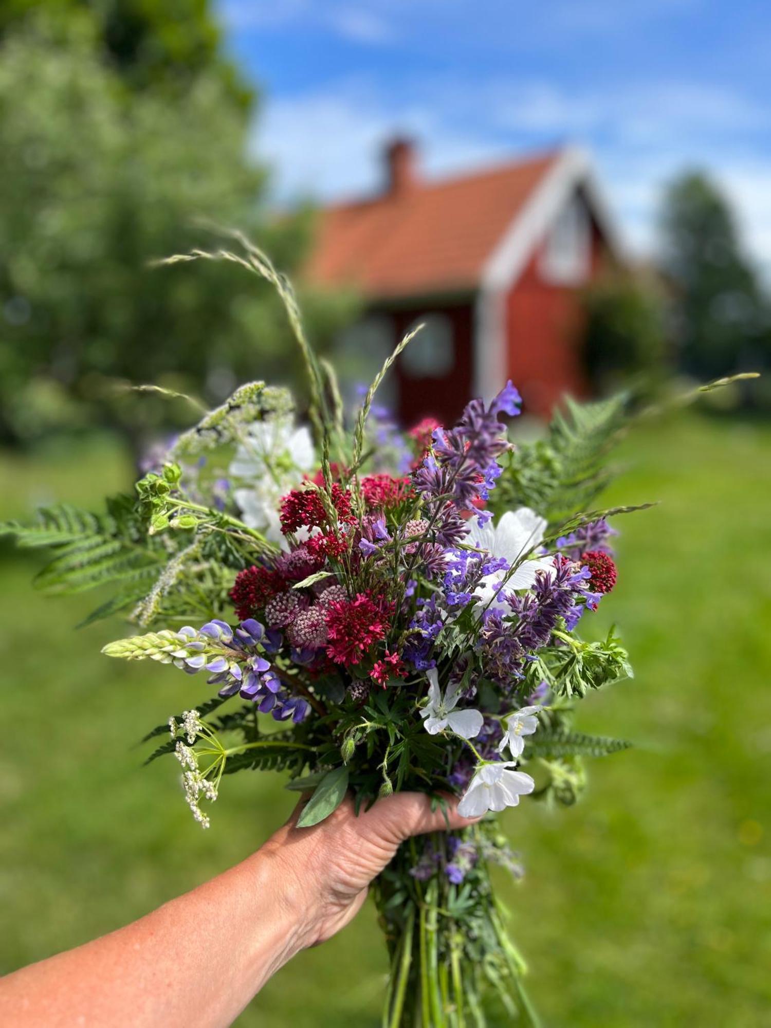 Lavendeltorpet Bed and Breakfast Haggum Buitenkant foto