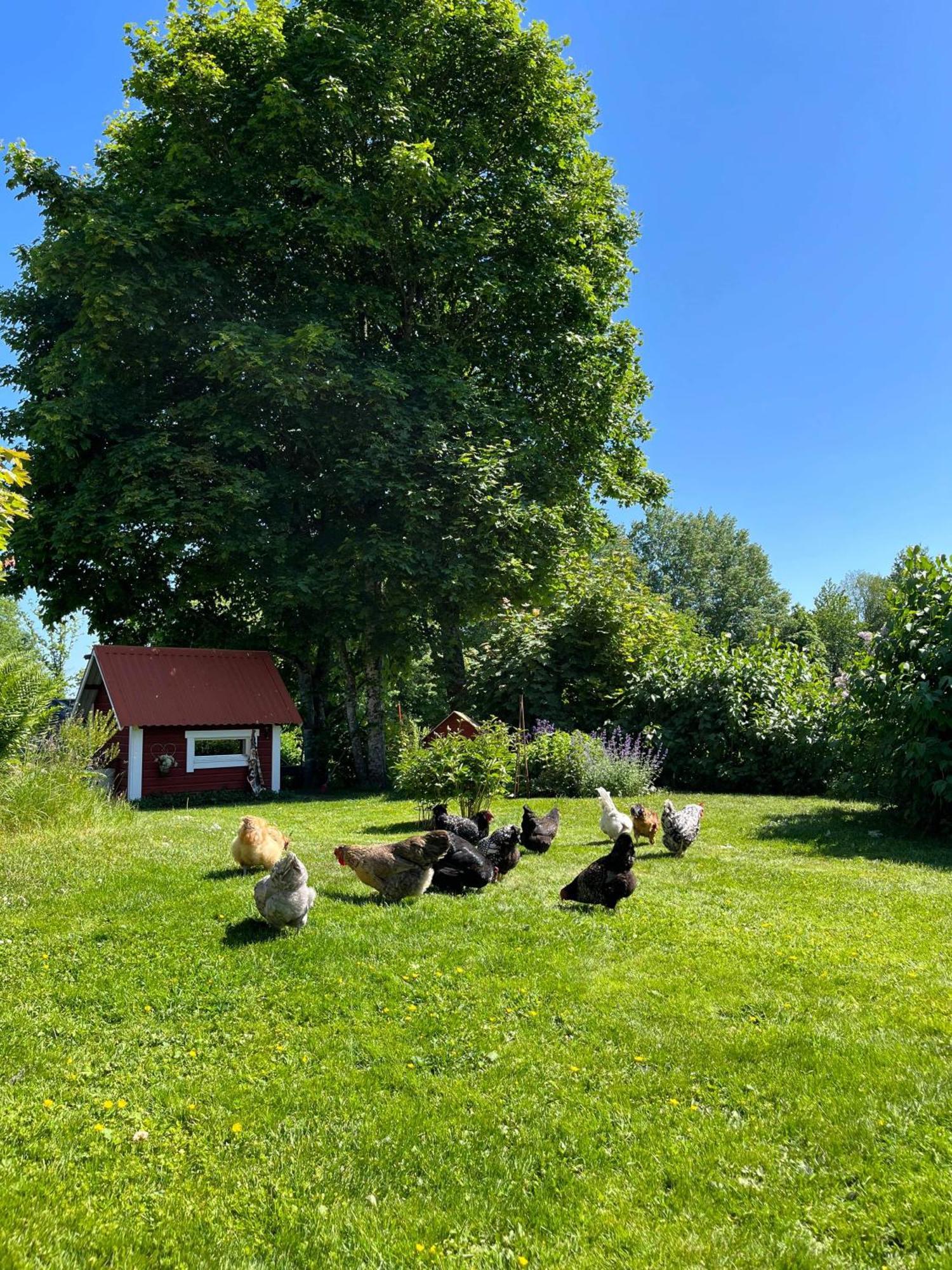 Lavendeltorpet Bed and Breakfast Haggum Buitenkant foto