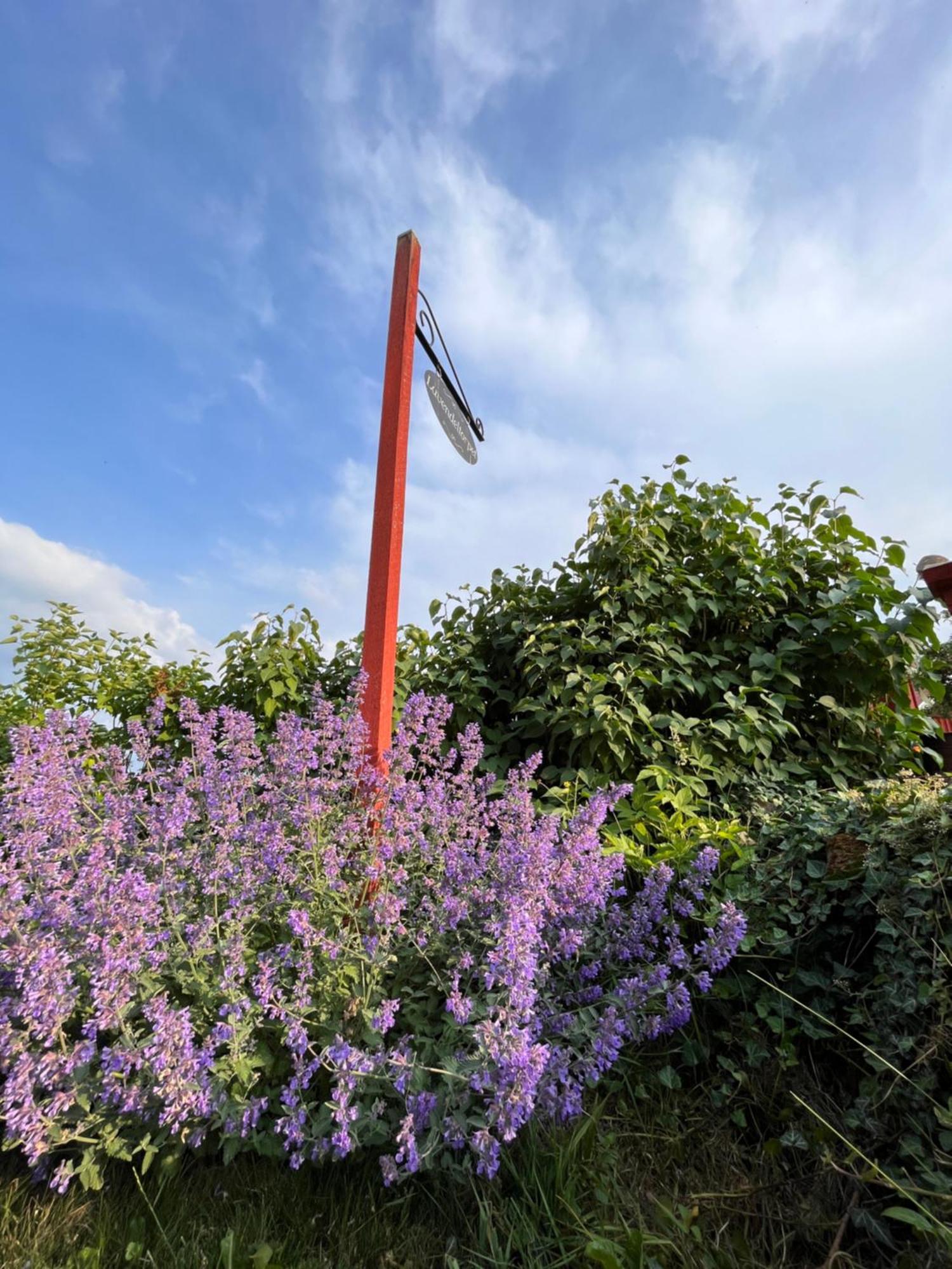 Lavendeltorpet Bed and Breakfast Haggum Buitenkant foto