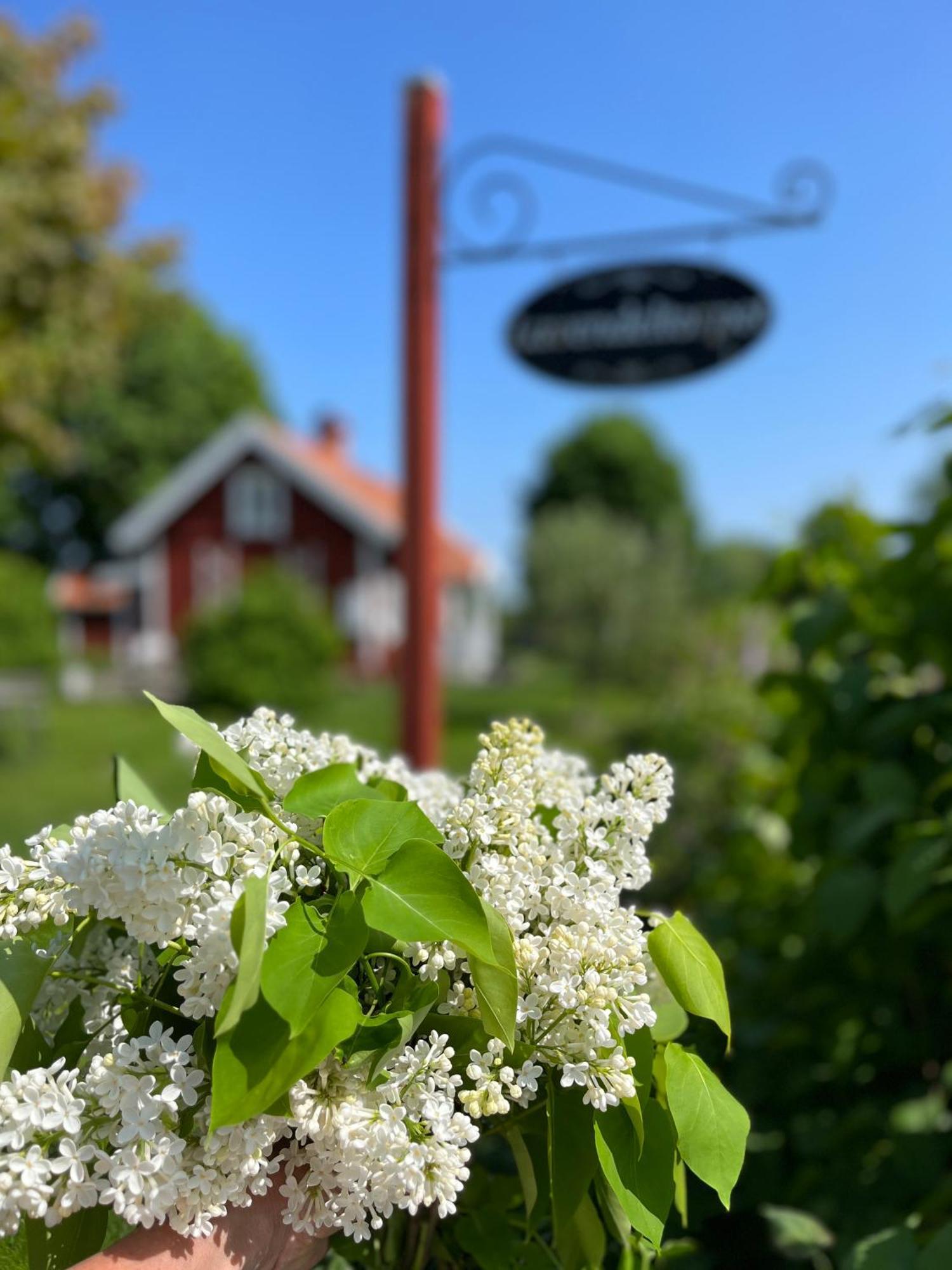 Lavendeltorpet Bed and Breakfast Haggum Buitenkant foto